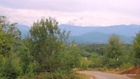 Imagine atasata: DJ764E--Carpinet-M.Izbuc-Aug-2013-021.JPG